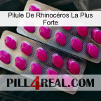 Pilule De Rhinocéros La Plus Forte 10